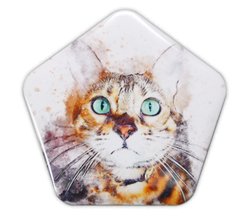 Image is not available