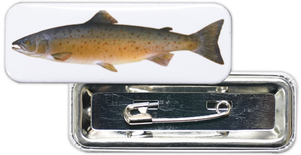 Image is not available